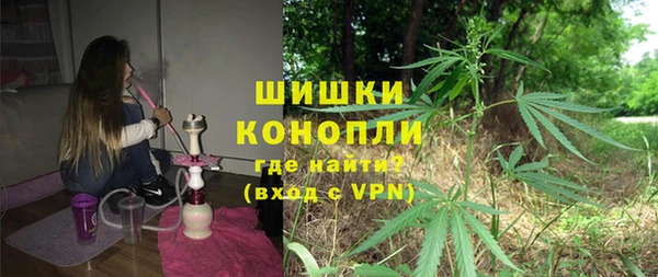 индика Рославль