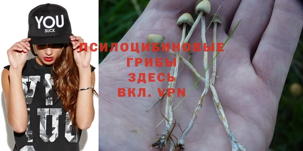 ALPHA PVP Арсеньев
